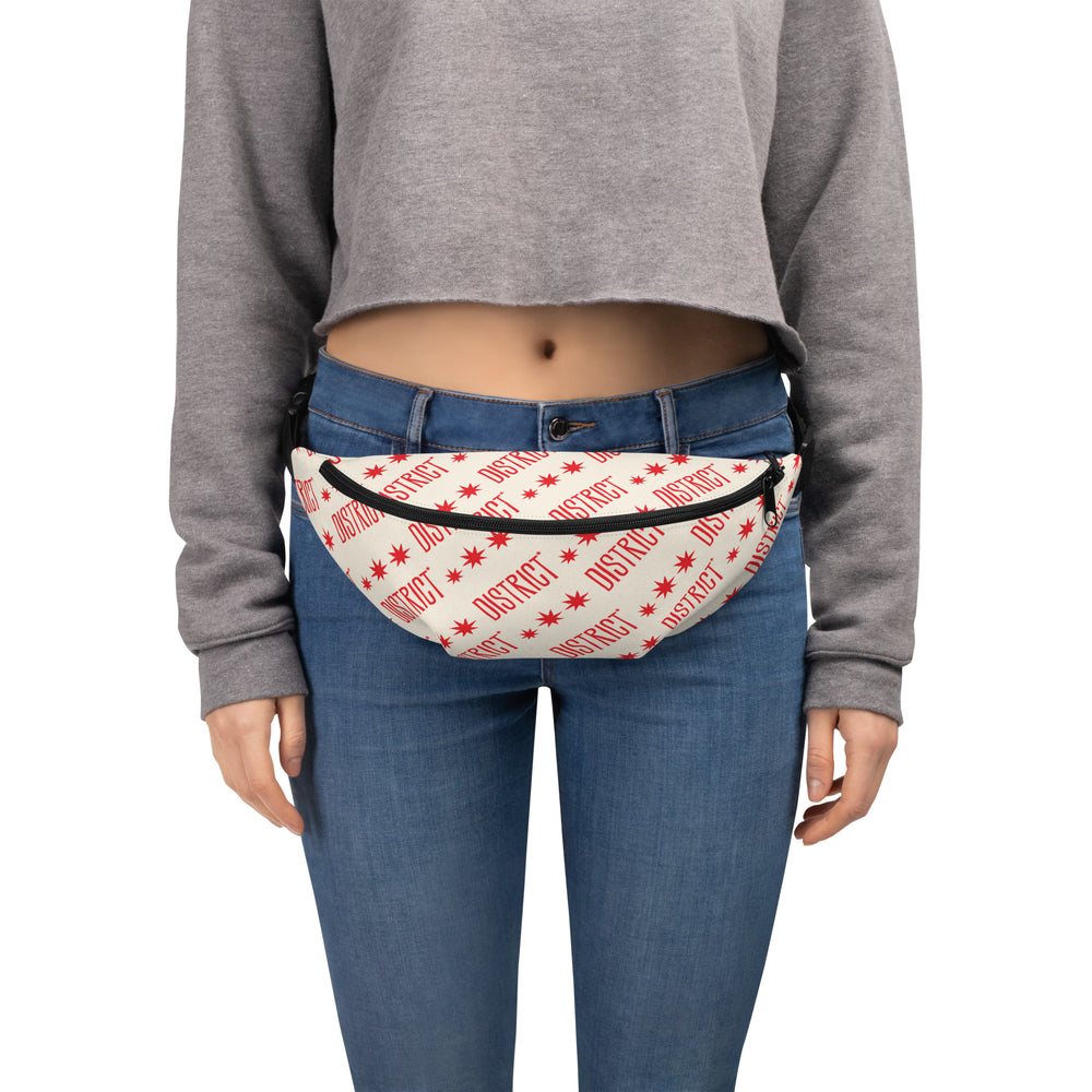 District Fanny Pack