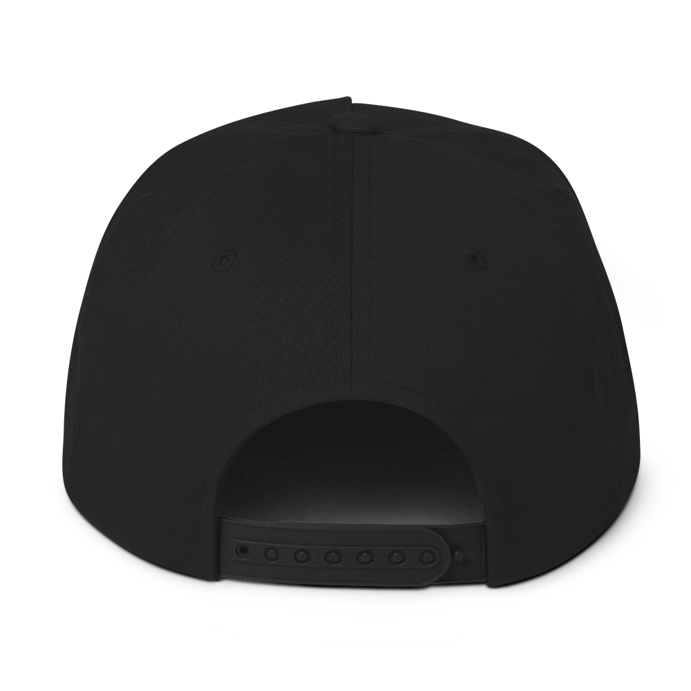 
                  
                    District Arched Snapback Cap
                  
                