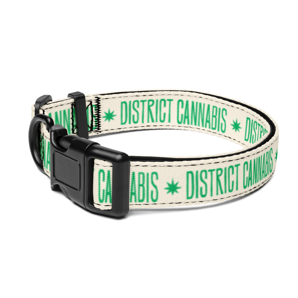 District Pet collar