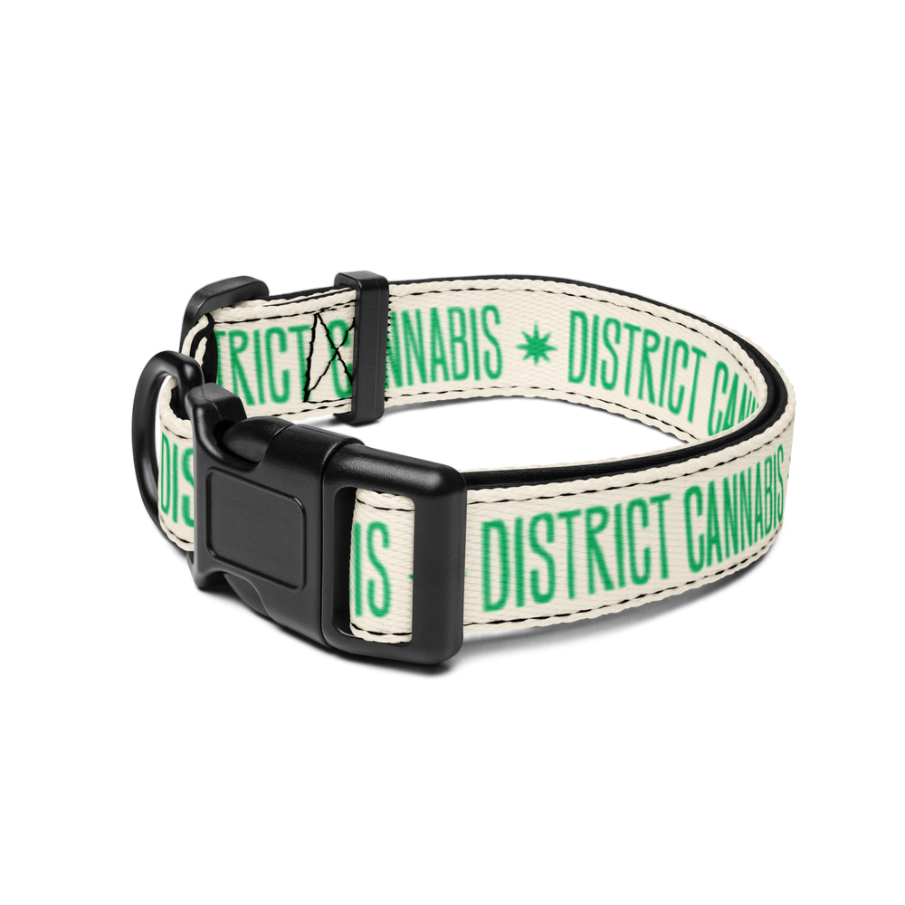 
                  
                    District Pet collar
                  
                